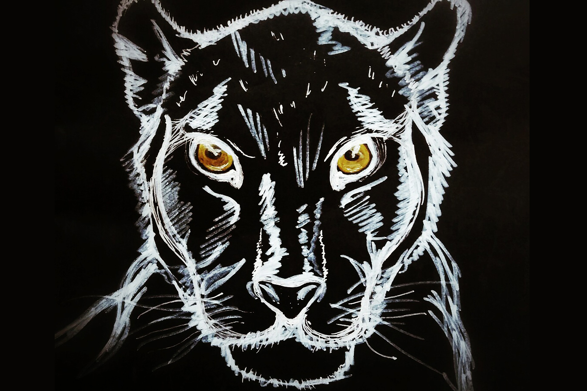 black-panther　ブラックパンサー（MARVEL）：映画